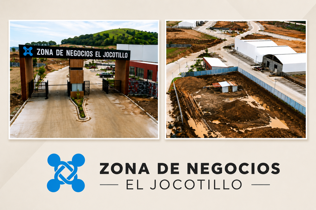 jocotillo