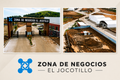 jocotillo